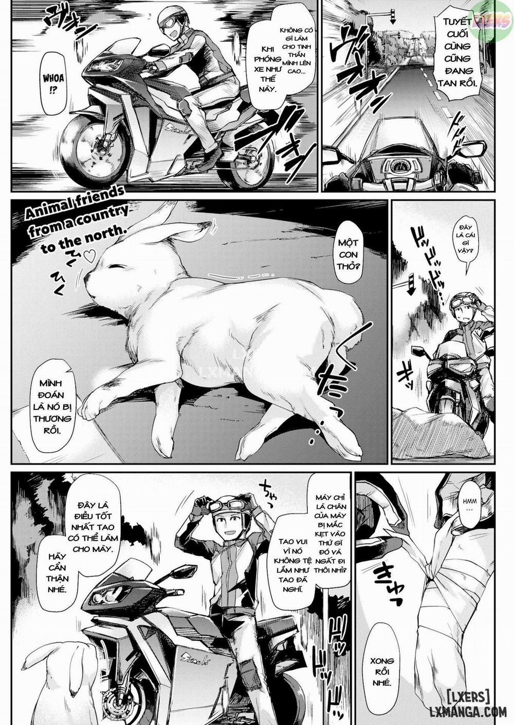 Rampaging Payback Oneshot trang 0