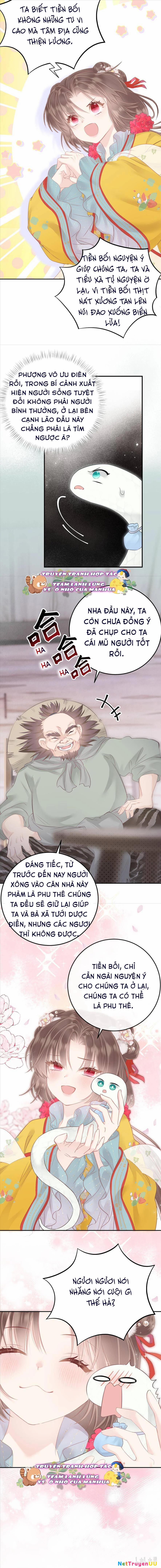 Rắn Cưng Nhà Tôi Lại Đang Diễn Trò Với Tôi 13 trang 3