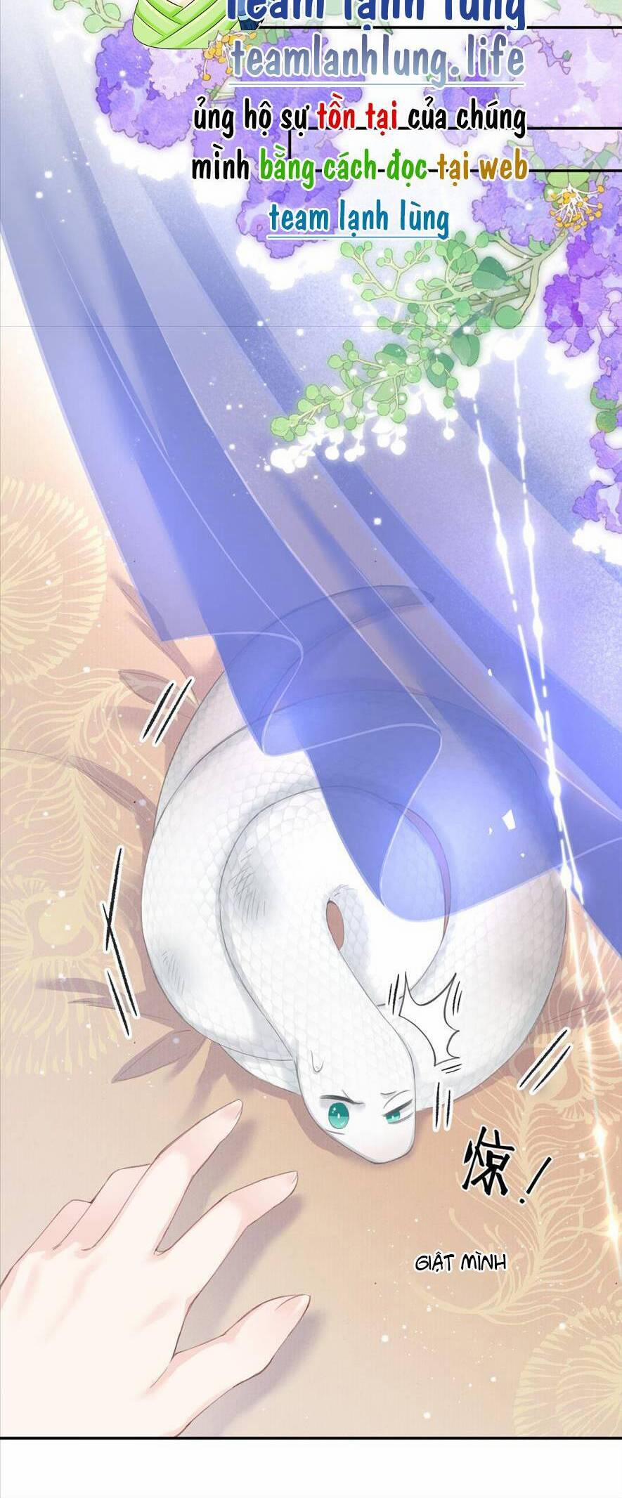 Rắn Cưng Nhà Tôi Lại Đang Diễn Trò Với Tôi 2 trang 19