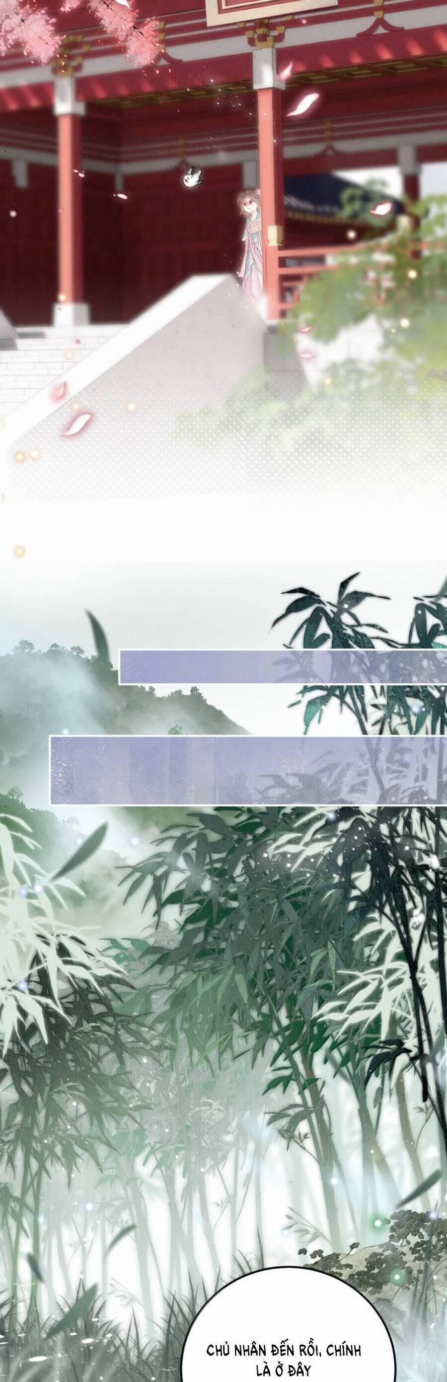 Rắn Cưng Nhà Tôi Lại Đang Diễn Trò Với Tôi 28 trang 6