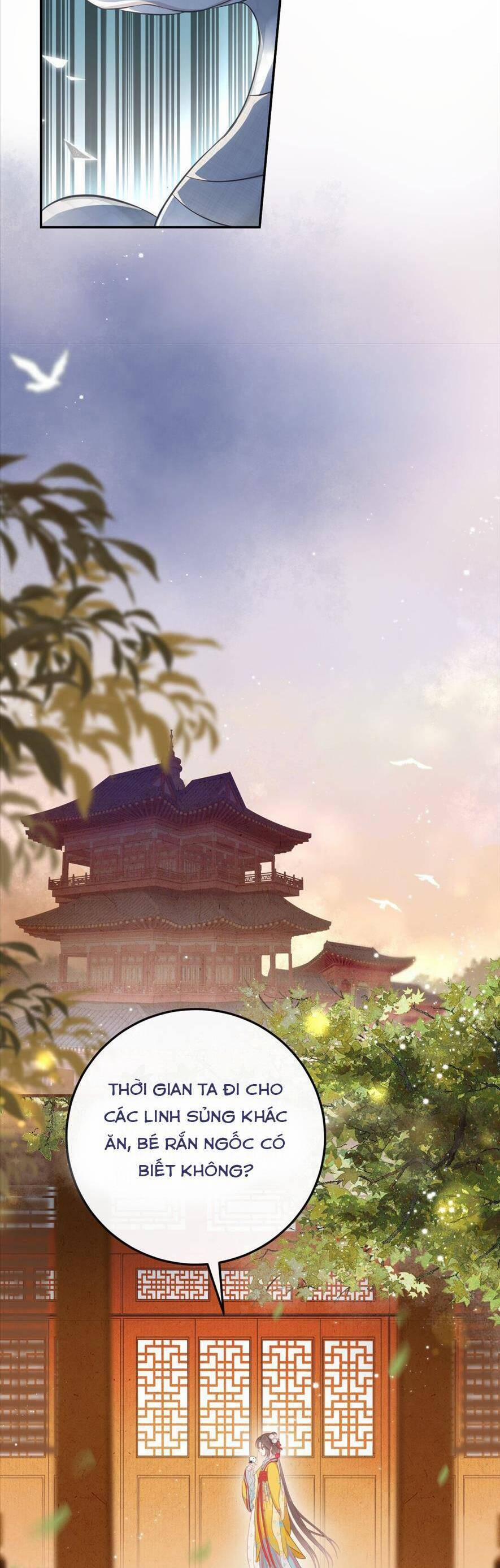 Rắn Cưng Nhà Tôi Lại Đang Diễn Trò Với Tôi 3 trang 12