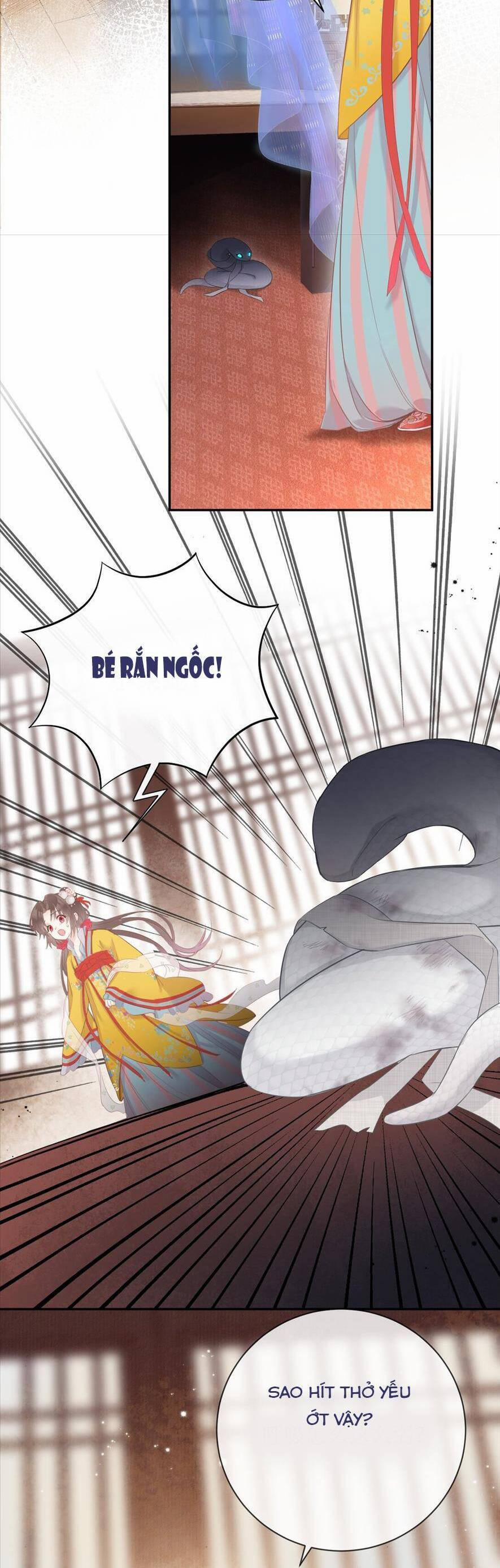 Rắn Cưng Nhà Tôi Lại Đang Diễn Trò Với Tôi 3 trang 14