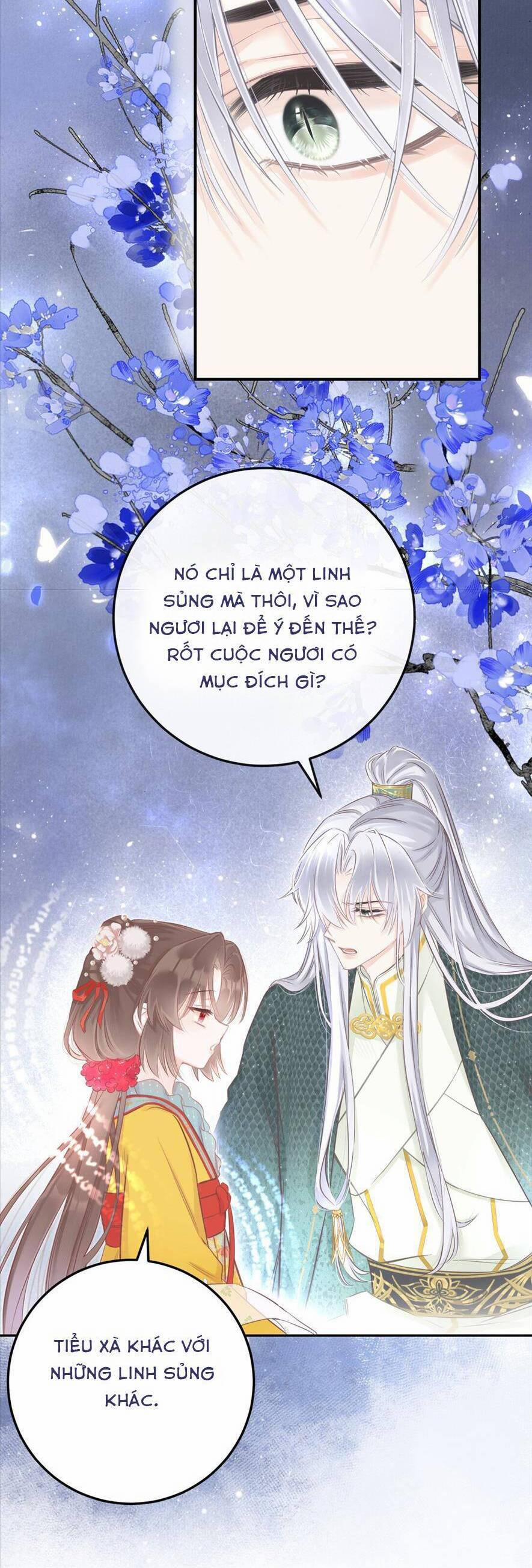 Rắn Cưng Nhà Tôi Lại Đang Diễn Trò Với Tôi 5 trang 6