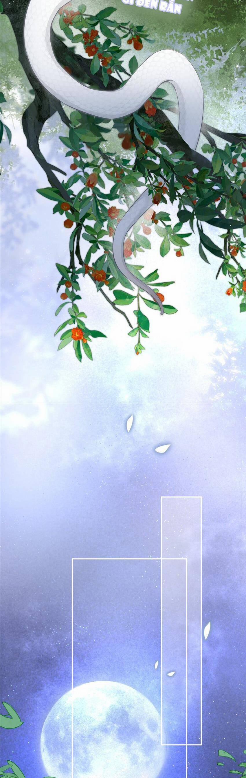 Rắn Cưng Nhà Tôi Lại Đang Diễn Trò Với Tôi 6 trang 2