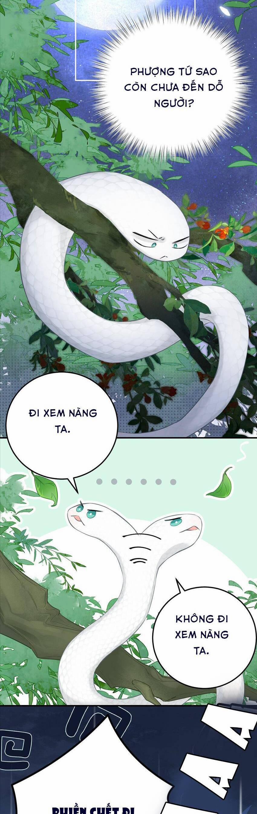 Rắn Cưng Nhà Tôi Lại Đang Diễn Trò Với Tôi 6 trang 3