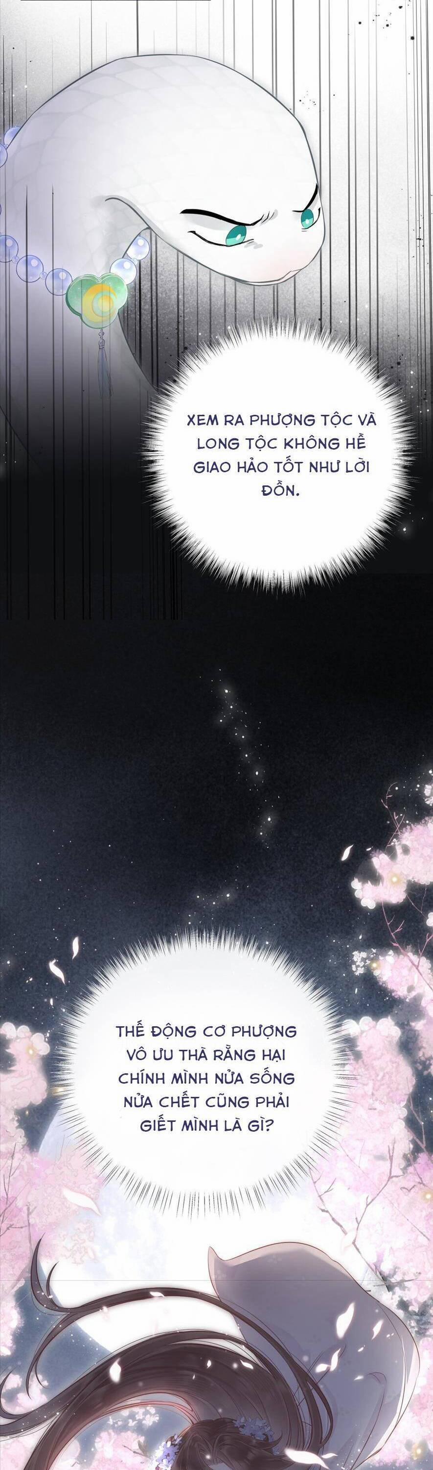 Rắn Cưng Nhà Tôi Lại Đang Diễn Trò Với Tôi 7 trang 14