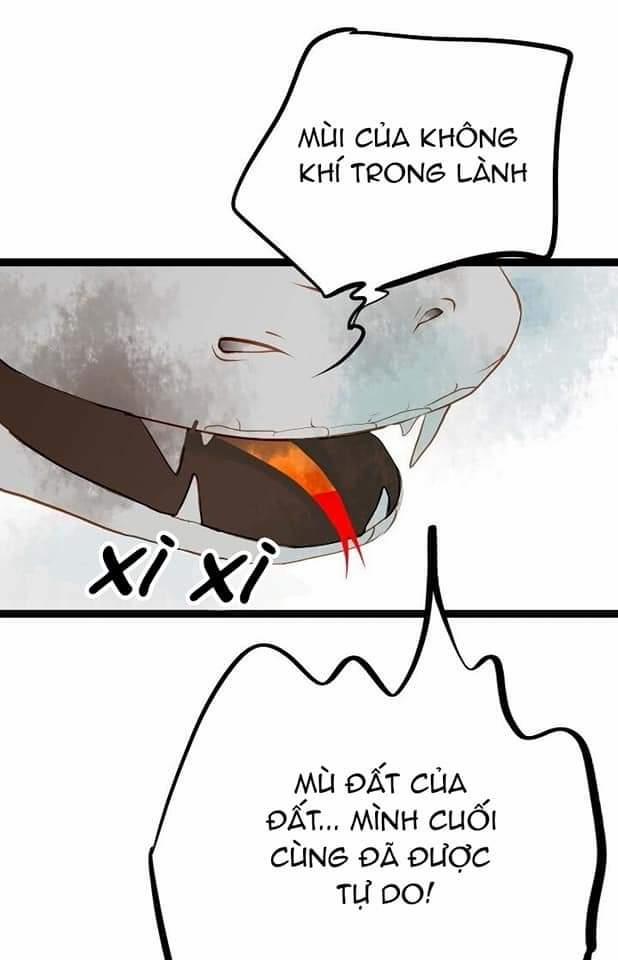 Rắn Xanh Và Mặt Trăng Đỏ 1 trang 13