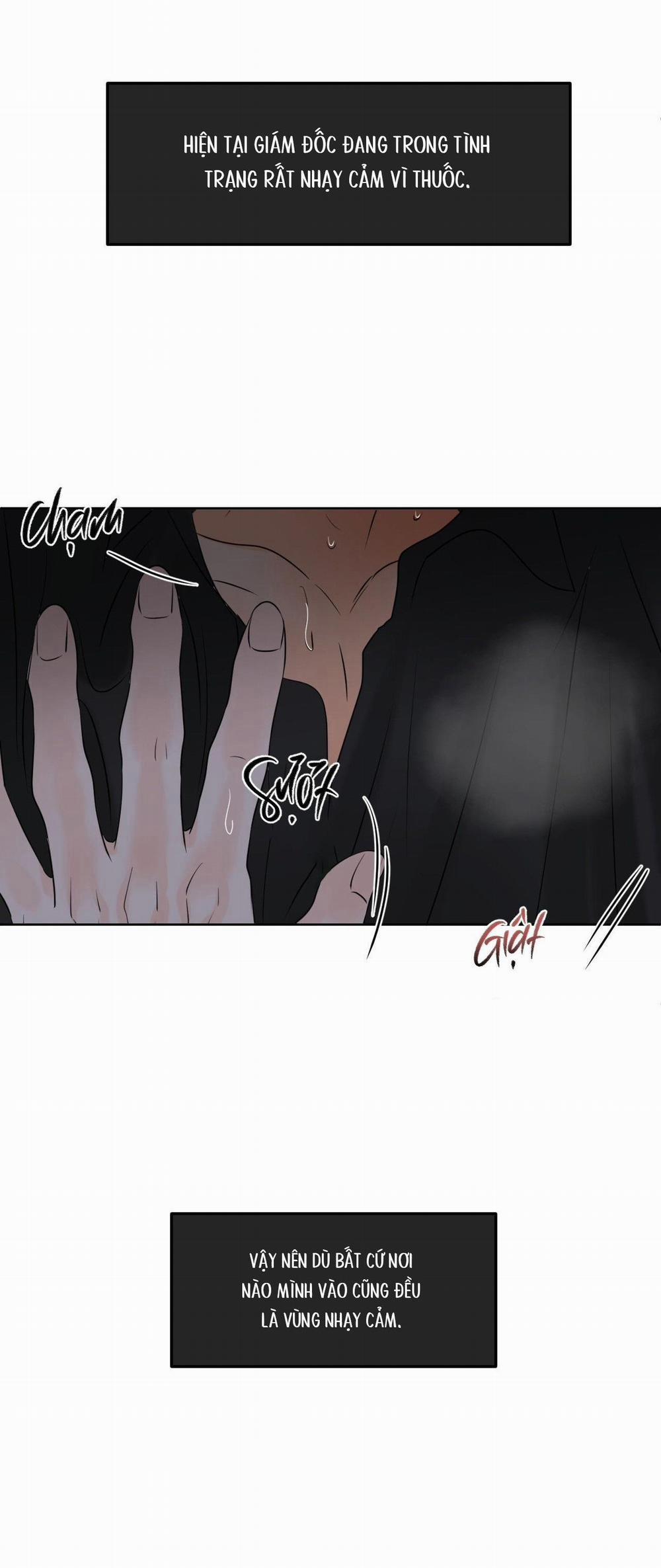 Ranh Giới Của Mùi Hương 21 0 trang 21