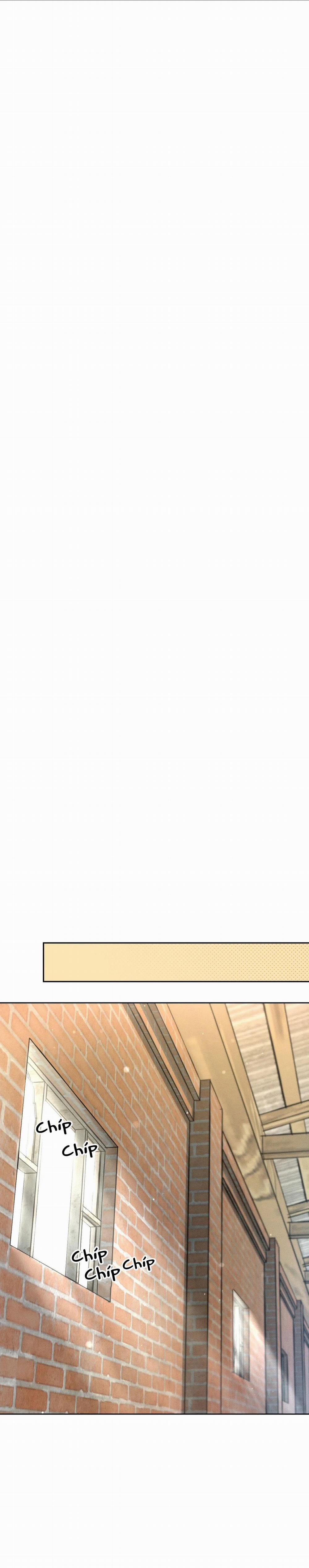 Rạp Chiếu Phim Anemone 43 trang 14