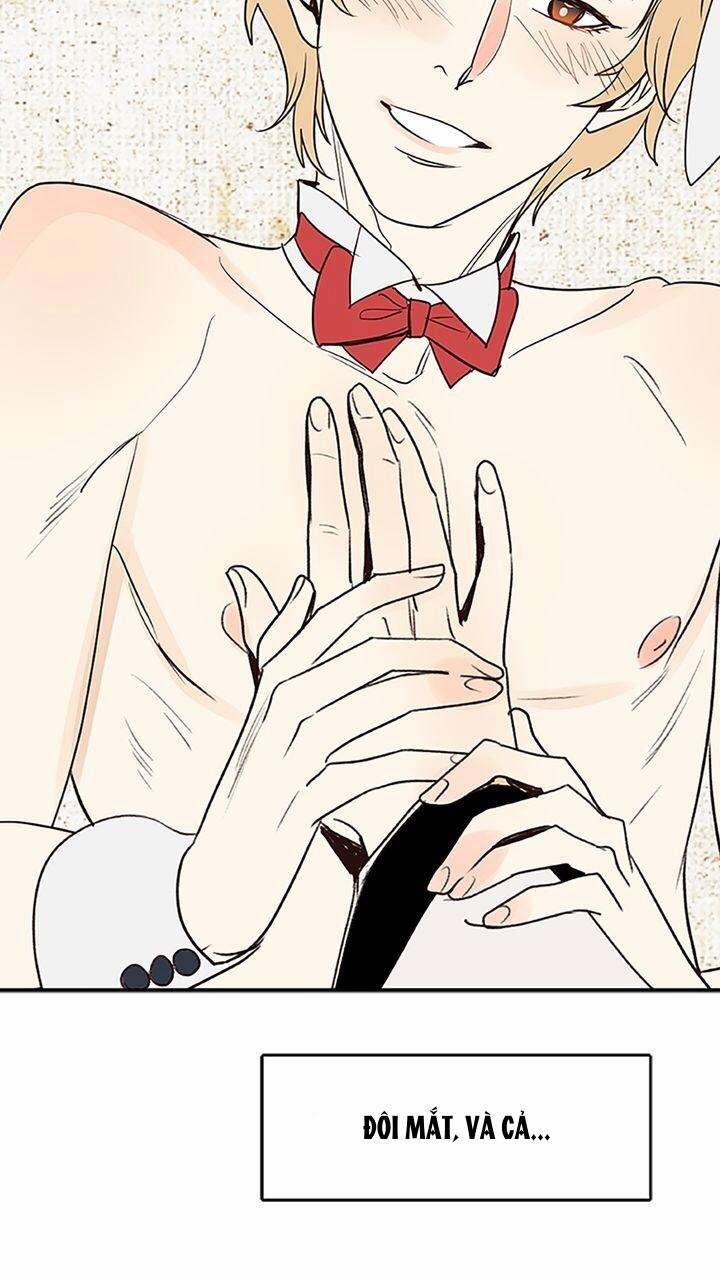 Rạp Chiếu Phim Bl Cổ Điển 39 0 39 0 Rùa Biển Và Thỏ Đồng trang 7