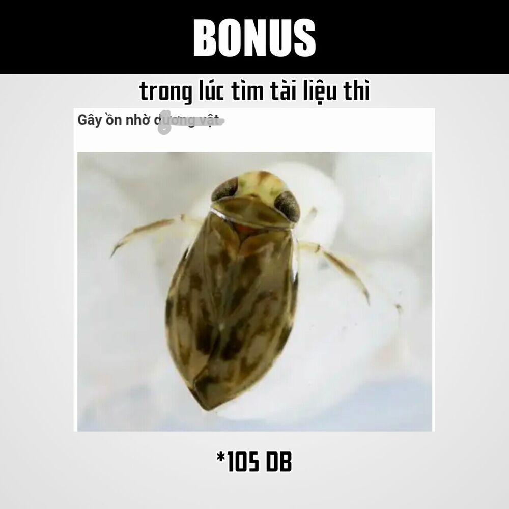 Real Account Ii 64 trang 20