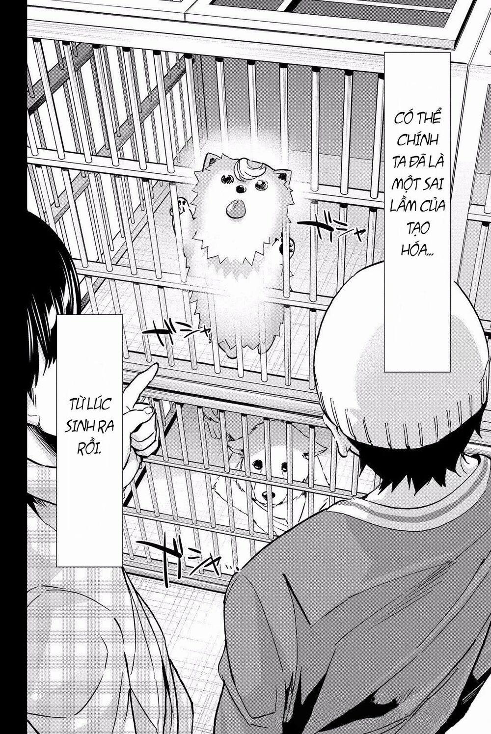 Real Account Ii 79 trang 2