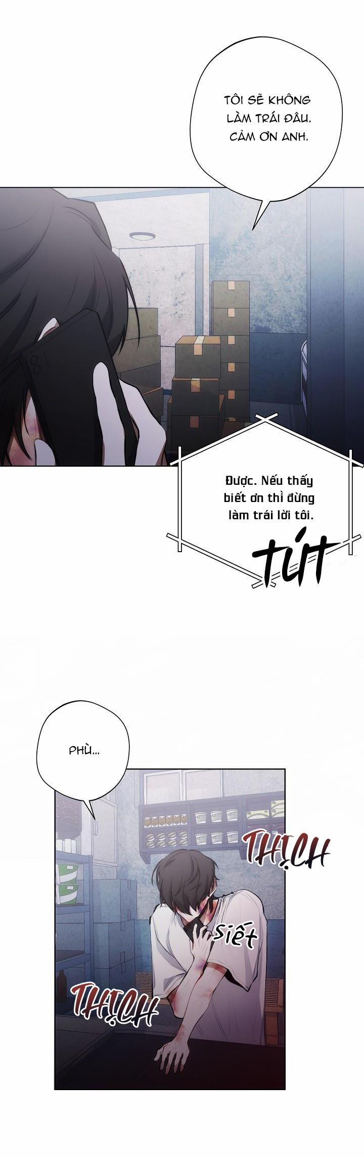 Red Mansion 11 trang 12