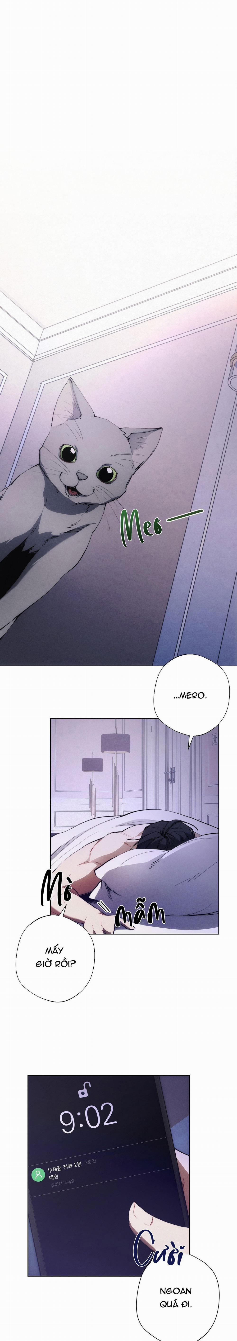 Red Mansion 12 trang 1