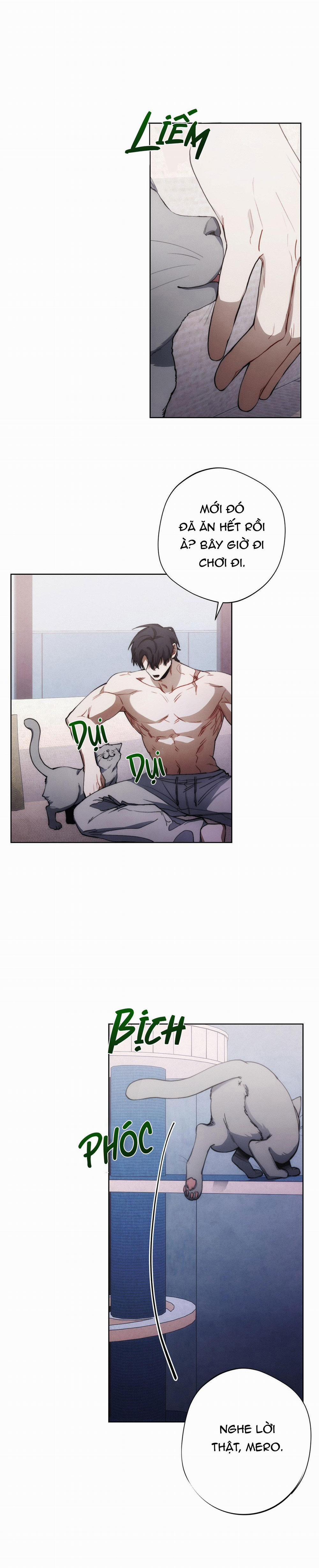 Red Mansion 12 trang 6