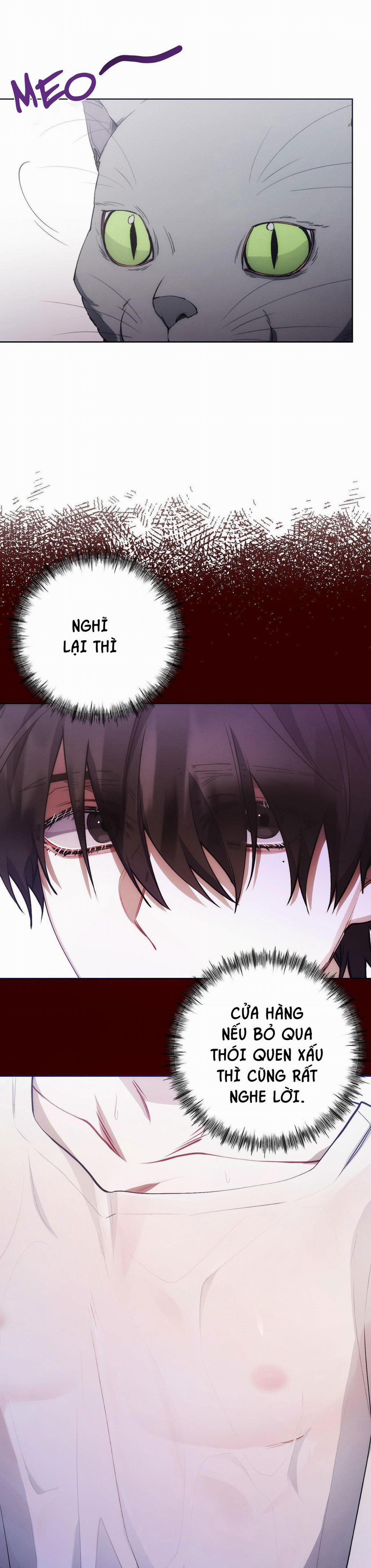 Red Mansion 12 trang 7