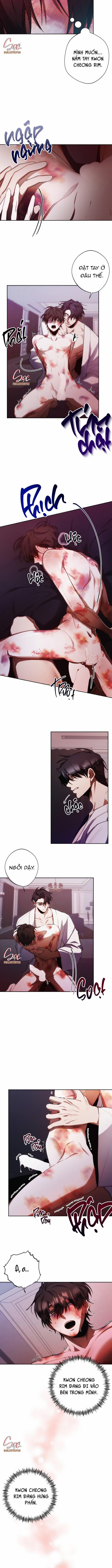 Red Mansion 14 trang 4