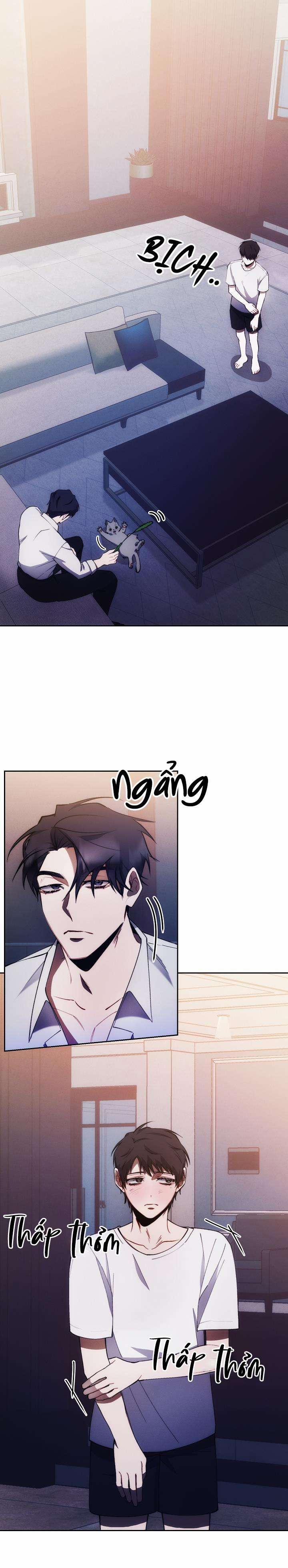 Red Mansion 24 trang 1