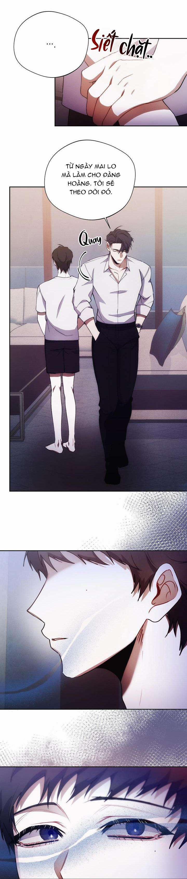 Red Mansion 24 trang 11