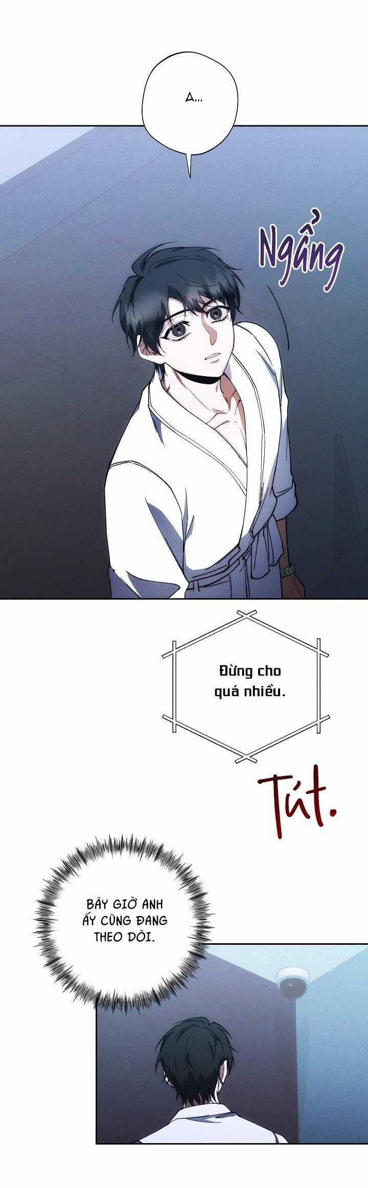 Red Mansion 38 trang 17