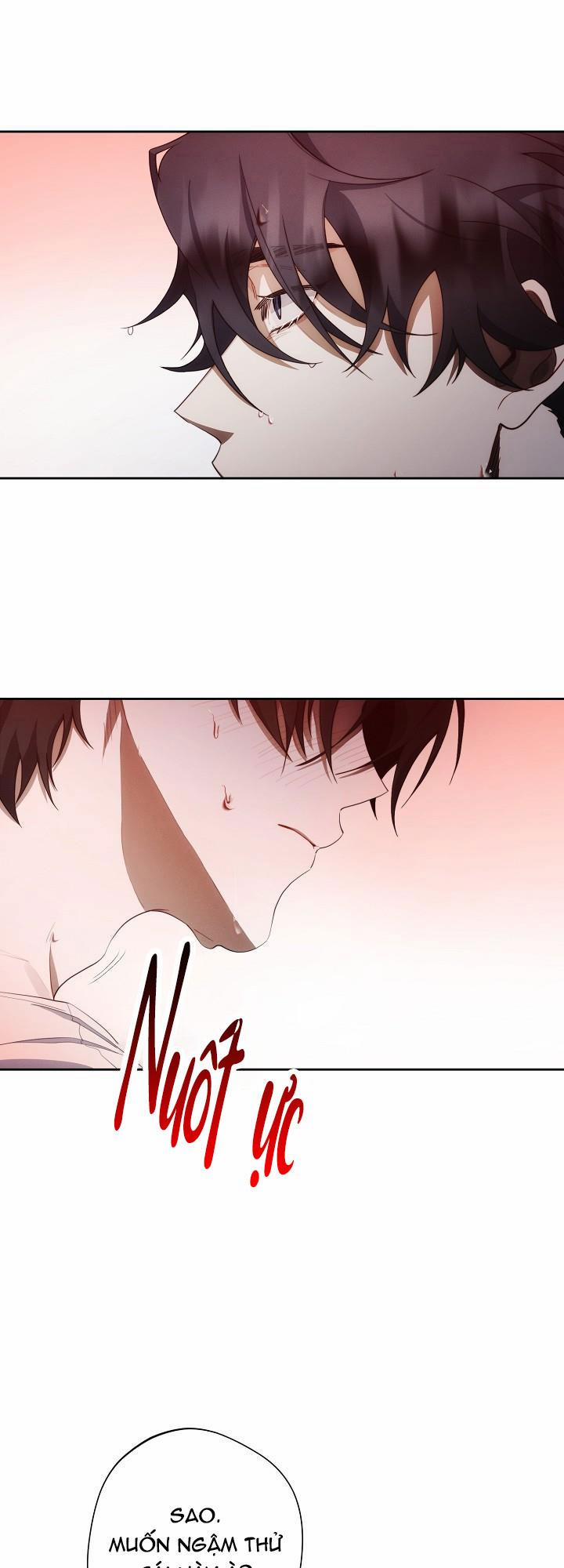 Red Mansion 4 trang 40