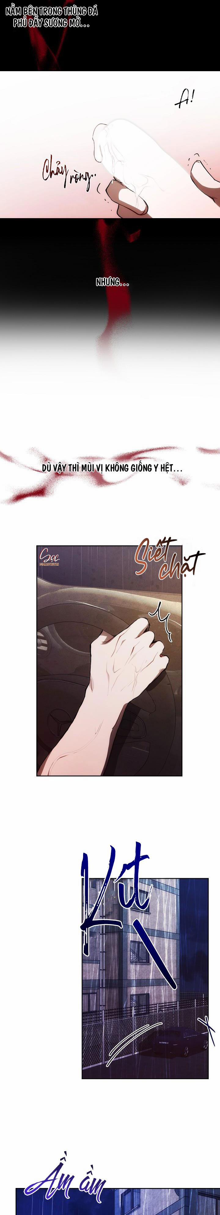 Red Mansion 8 trang 4