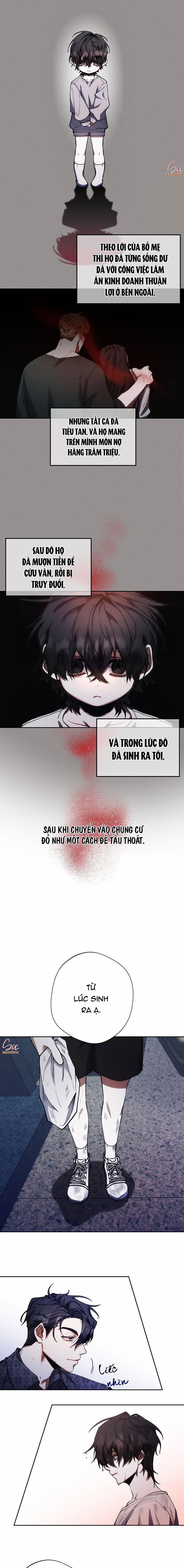 Red Mansion 8 trang 9