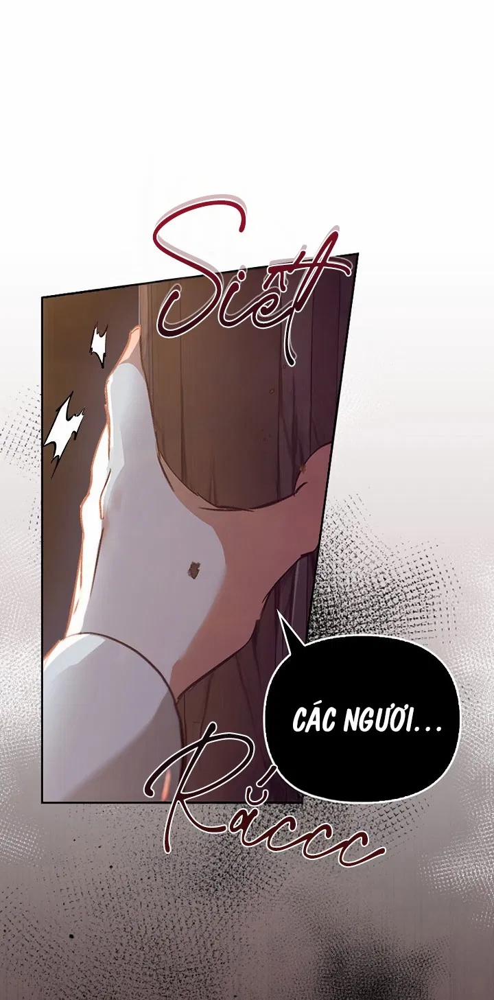 Regas 61 trang 27