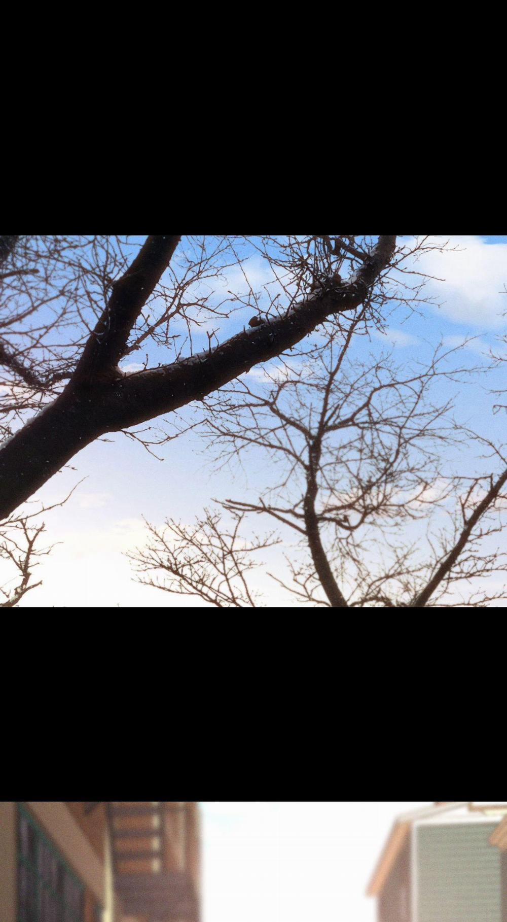 Relay Ss 1.3 CHE GIẤU 3 trang 1