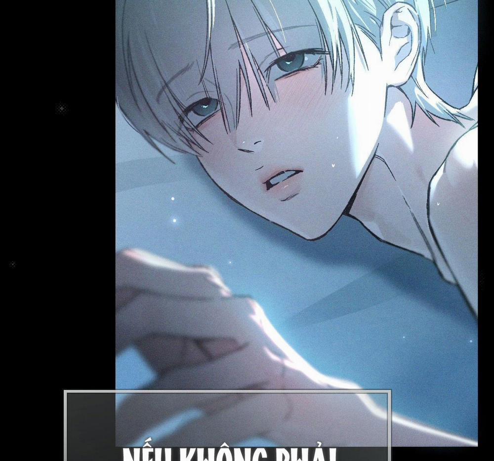 Relay Ss 1.5 CHE GIẤU END trang 60