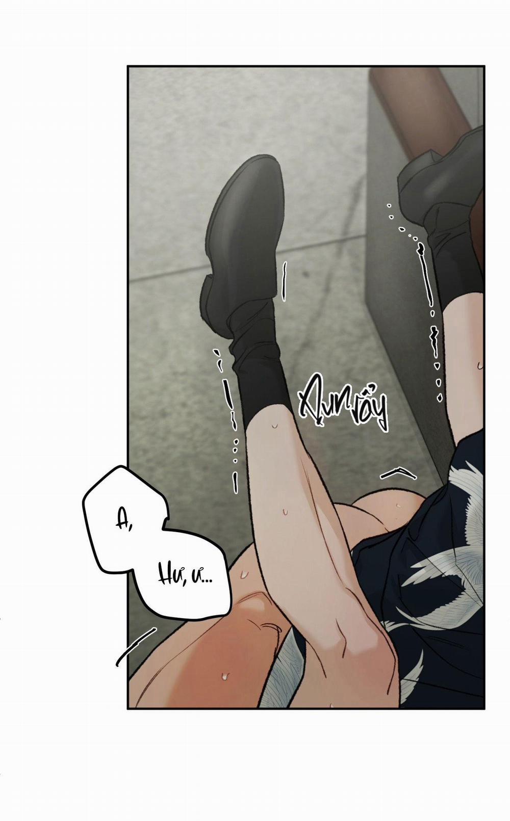 Relay Ss 4.6 nguyên tắc end trang 41