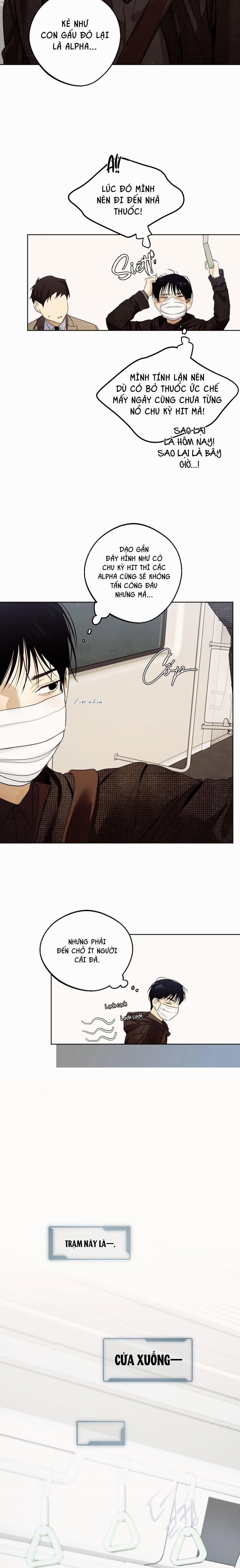 Relay Ss 5.1 báo cáo 1 trang 13