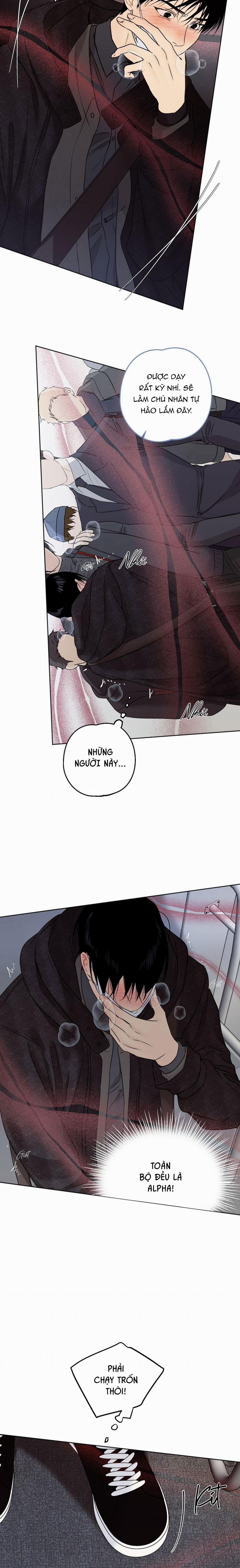 Relay Ss 5.1 báo cáo 1 trang 19