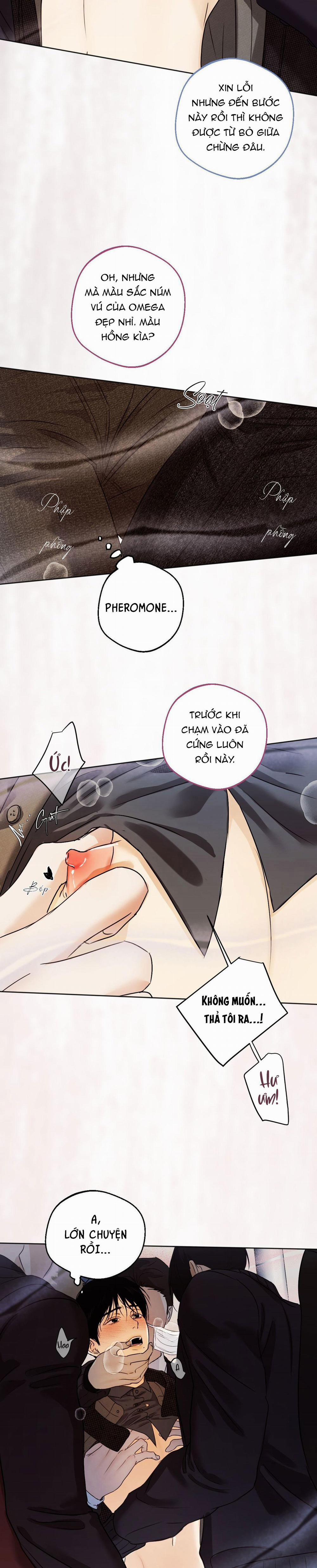 Relay Ss 5.1 báo cáo 1 trang 21