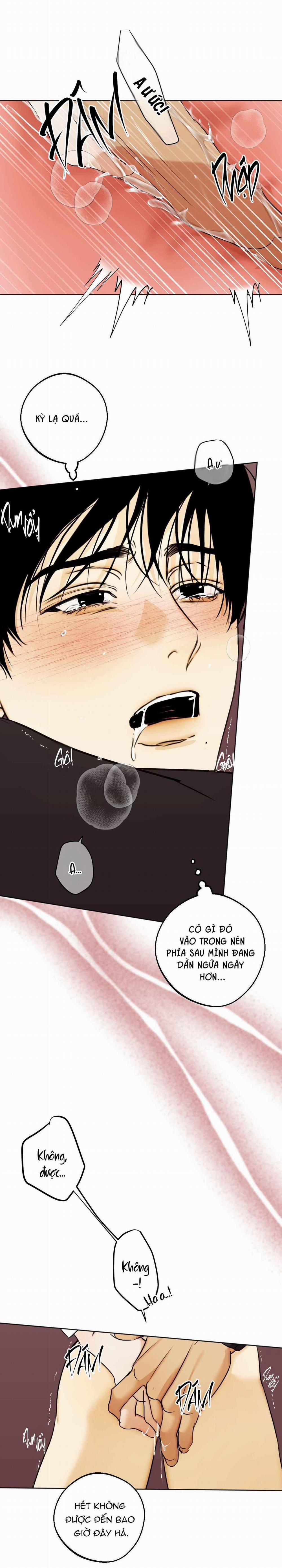 Relay Ss 5.2 báo cáo 2 trang 10