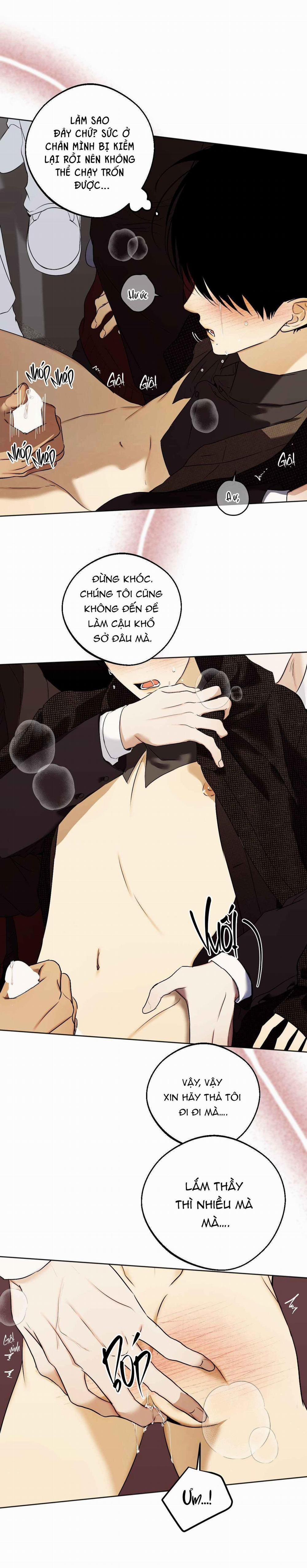 Relay Ss 5.2 báo cáo 2 trang 6