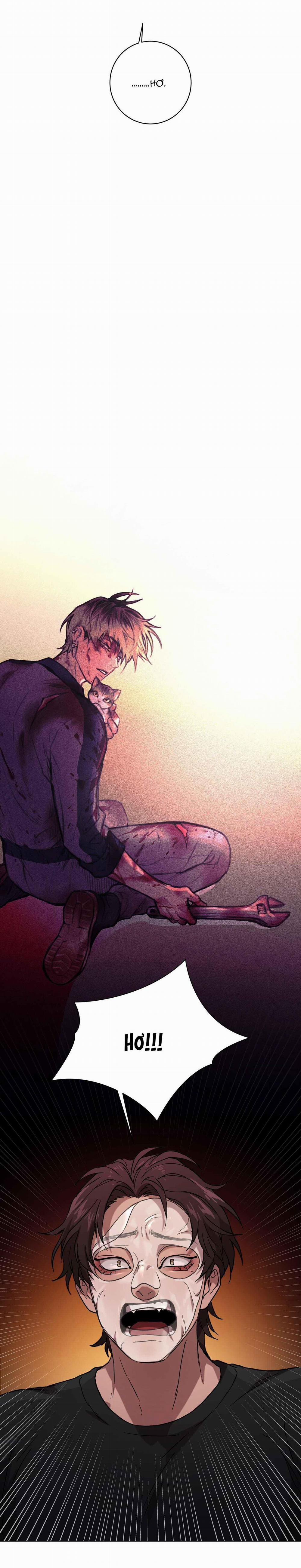 Release Your Persona 1 trang 11