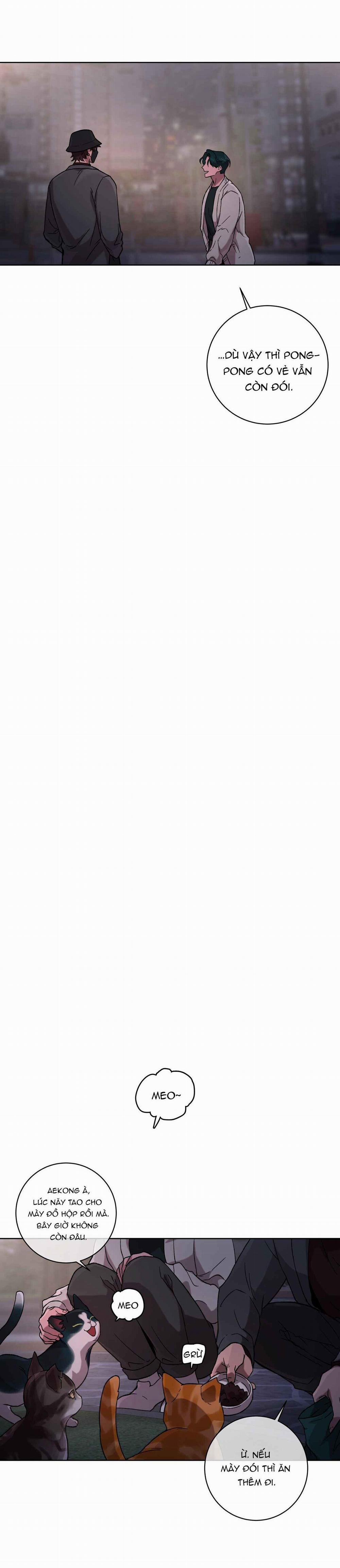 Release Your Persona 2 trang 2