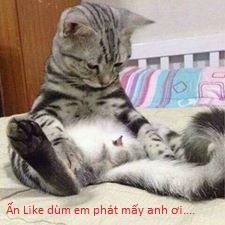 Rikka to Koi Shitai (Chuunibyou Demo Koi Ga Shitai) Oneshot trang 27