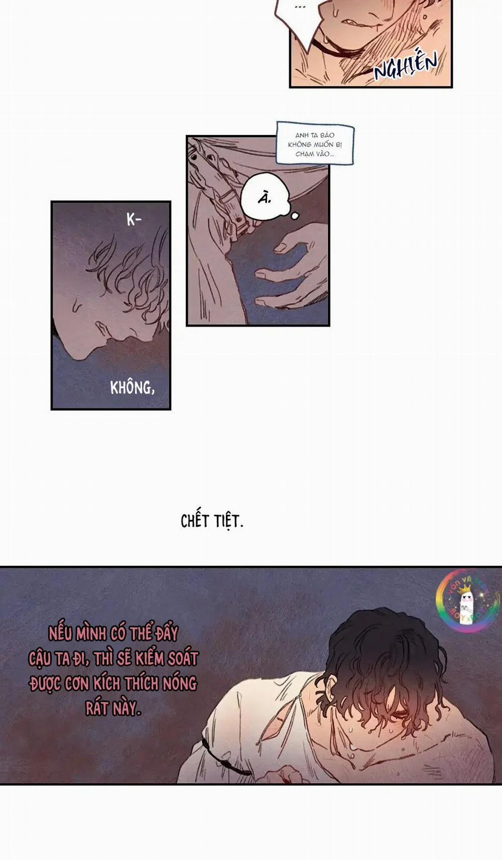 Rix Venus 10 trang 14