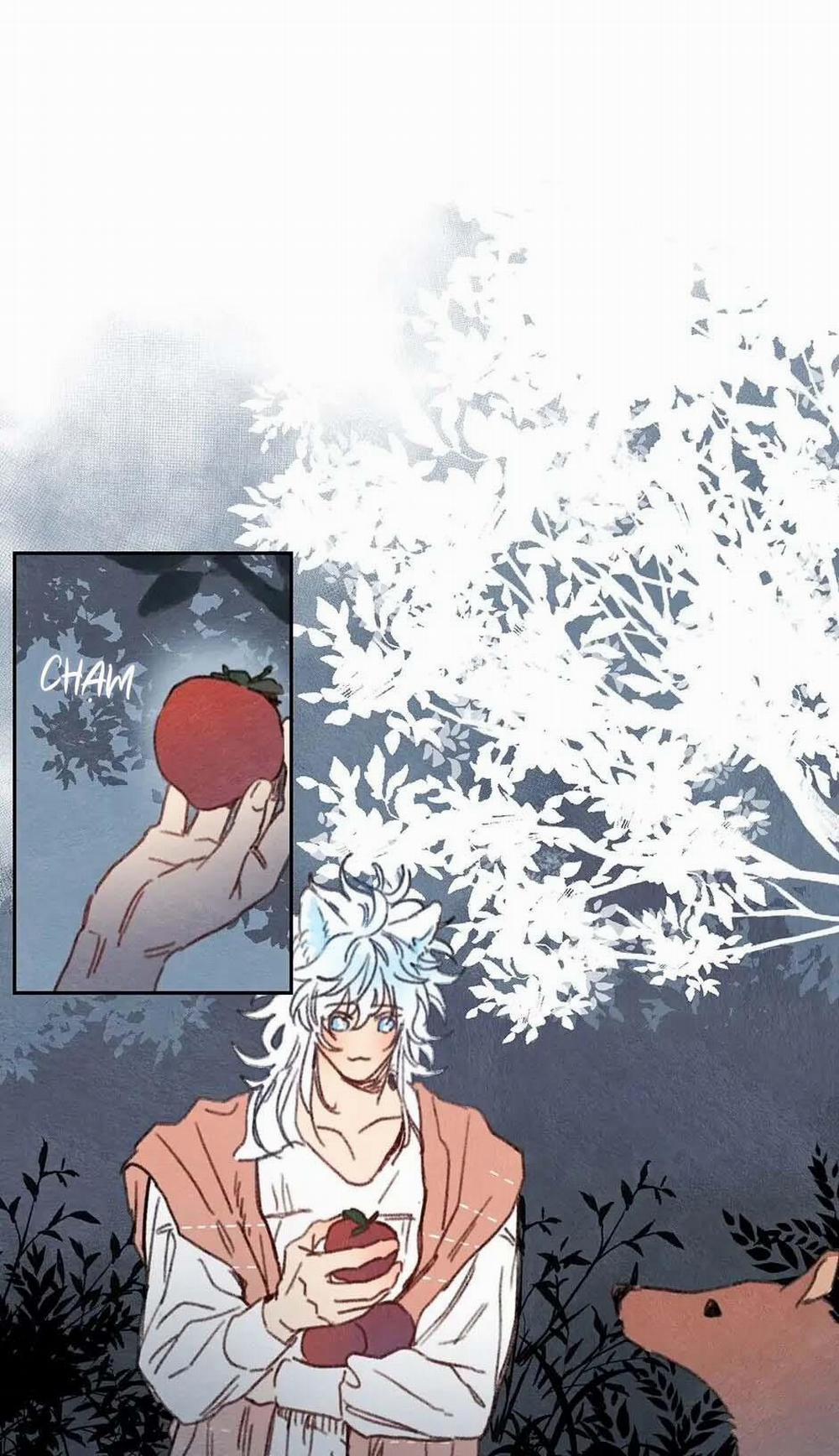 Rix Venus 26 trang 1