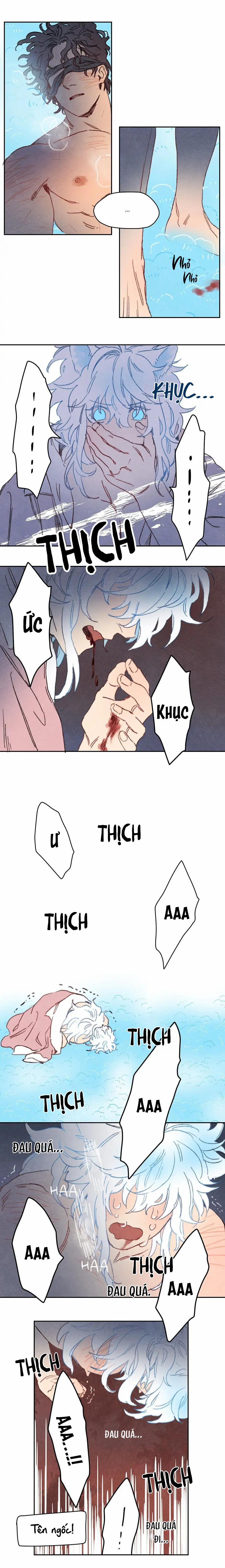 Rix Venus 36 0 trang 7