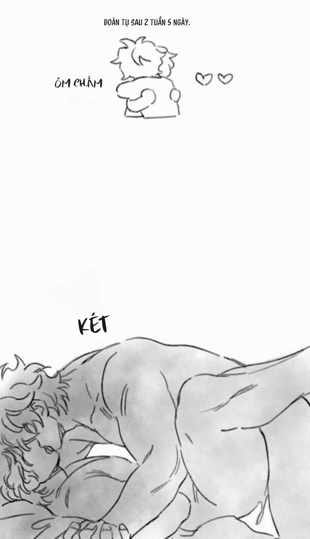 Rix Venus 39.1 trang 22