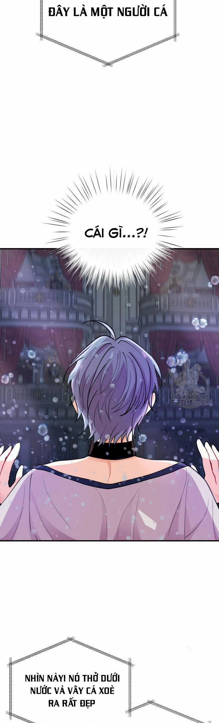 Roelyn Tiến Bước Đến Tương Lai 13 trang 31