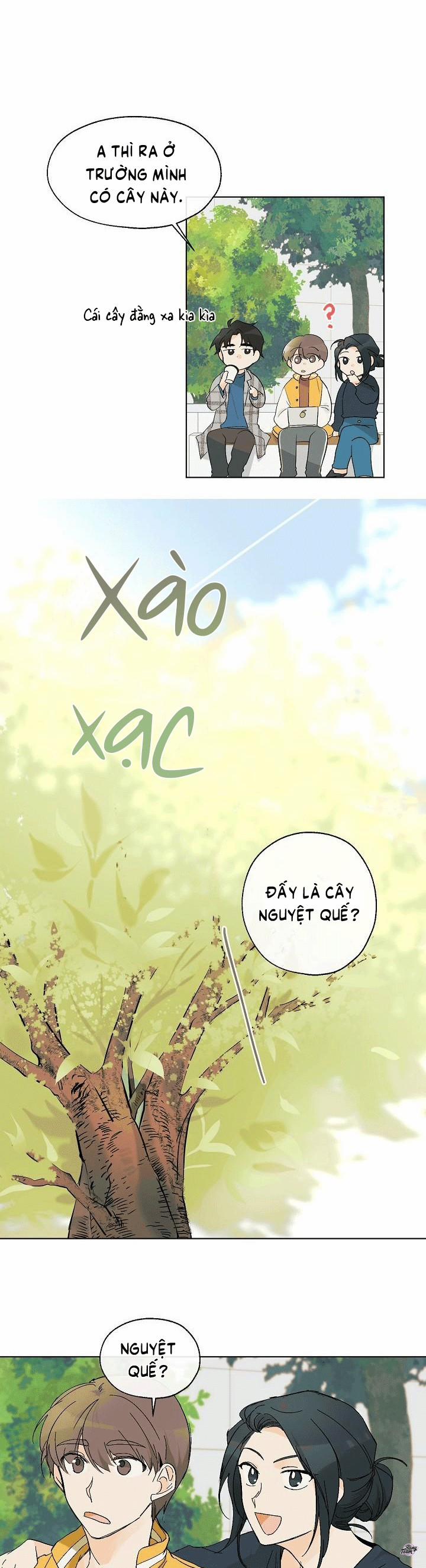 Rồi Anh Sẽ Yêu Em 6 trang 5