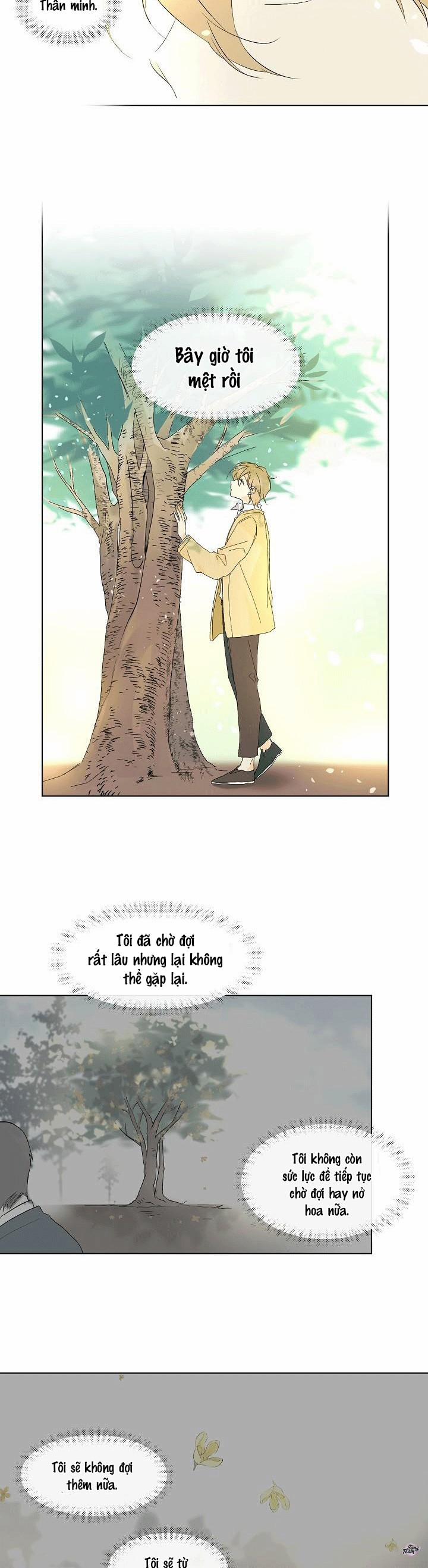 Rồi Anh Sẽ Yêu Em 7 trang 6