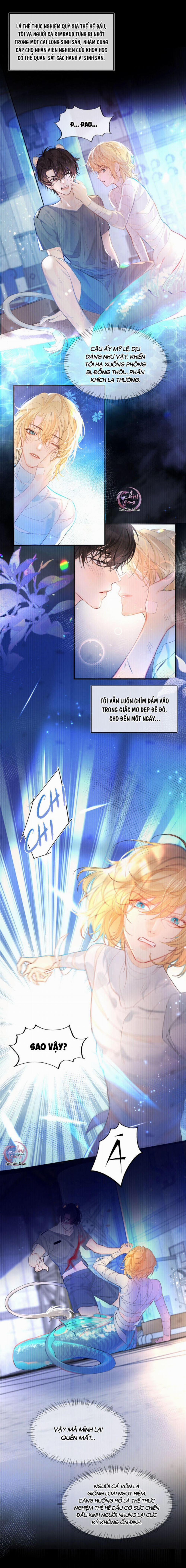 Rơi Vào Bẫy Nhân Ngư 1 trang 3