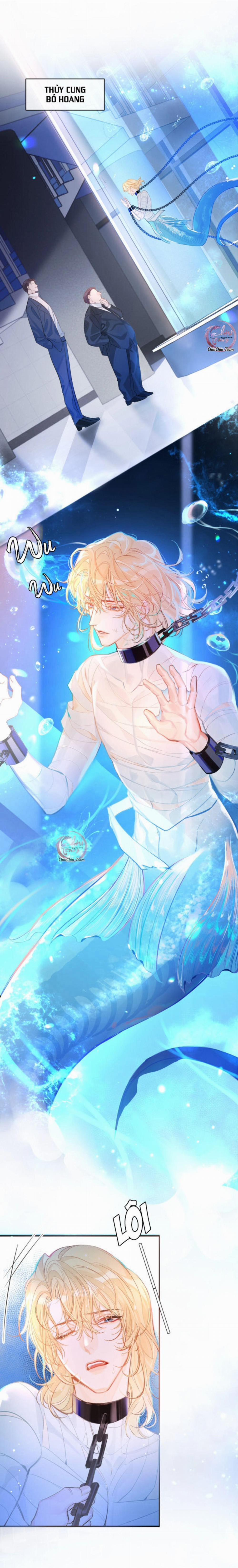 Rơi Vào Bẫy Nhân Ngư 1 trang 5