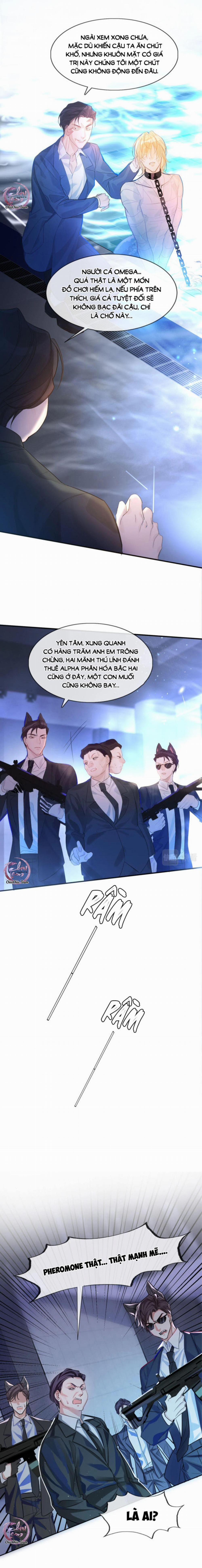 Rơi Vào Bẫy Nhân Ngư 1 trang 6