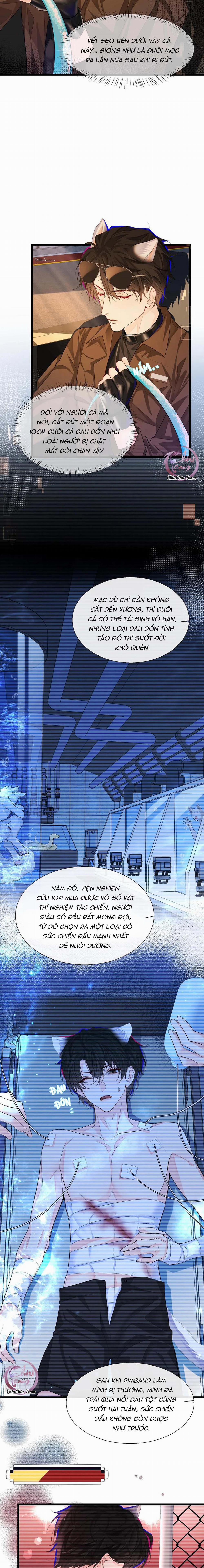 Rơi Vào Bẫy Nhân Ngư 10 trang 2